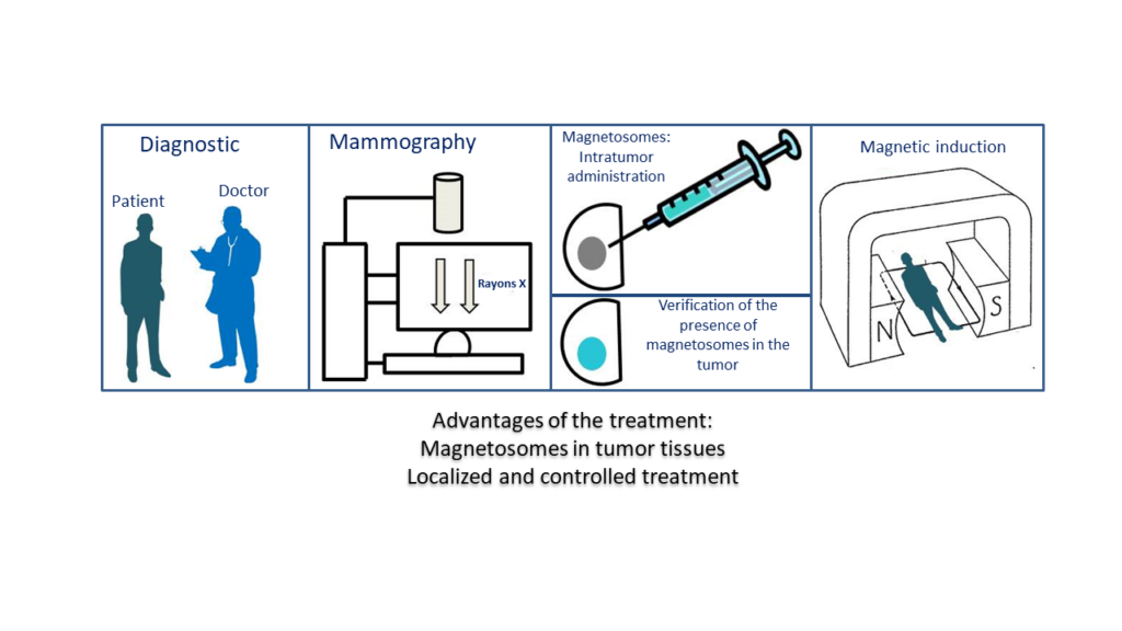 The stages of treatment